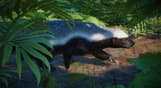 Planet Zoo: Asia Animal Pack