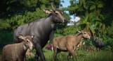 Planet Zoo: Asia Animal Pack