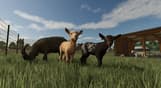Farming Simulator 25 - Highlands Fishing Edition