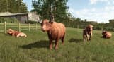 Farming Simulator 25 - Highlands Fishing Edition