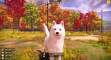 Animal Shelter 2
