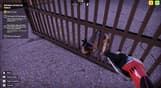 Animal Shelter 2
