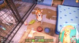 Animal Shelter 2
