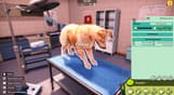 Animal Shelter 2