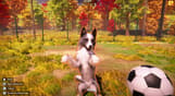 Animal Shelter 2