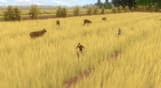 Forgotten Fields