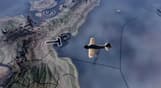 Hearts of Iron IV - No Compromise, No Surrender