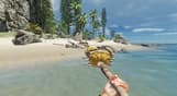 Stranded Deep