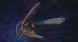 Stellaris: Nomads