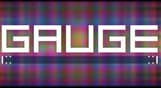 Gauge