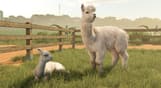 Farming Simulator 25 - Beans & Alpacas Expansion