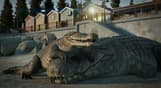 Jurassic World Evolution 3: Crocodilia Coast