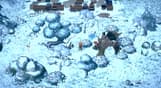 Dragon Shelter