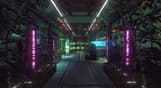 Nivalis Nights