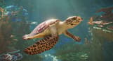 Planet Zoo 2