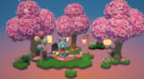 Hokko Spaces