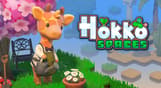 Hokko Spaces