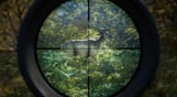 theHunter: Call of the Wild™ - Assorted Sidearms Pack
