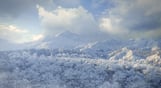 theHunter: Call of the Wild™ - Medved-Taiga