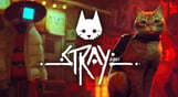 Stray