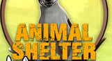 Animal Shelter - Horse Shelter DLC