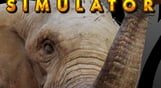 Zoo Simulator
