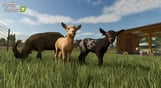 Farming Simulator 25 - Nexat Pack