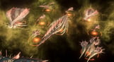 Stellaris: BioGenesis