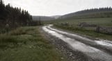 Assetto Corsa Rally