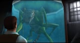 Impossible Creatures Steam Edition