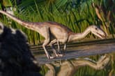 Jurassic World Evolution 2: Park Managers’ Collection Pack