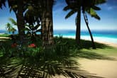 Forgotten Seas - Early Access