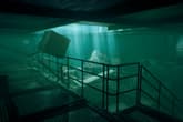 Thalassa: Edge of the Abyss