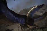 Dragon's Dogma: Dark Arisen