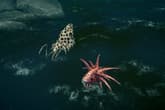 Worshippers of Cthulhu - Early Access
