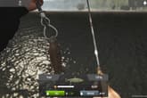 Fishing Adventure: Finland Reserve