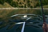 Ultimate Fishing Simulator