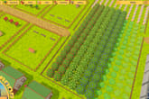 Farming Life
