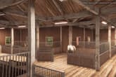 My Horse: Bonded Spirits