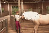 My Horse: Bonded Spirits