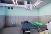 Animal Shelter - Vet Clinic DLC