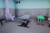 Animal Shelter - Vet Clinic DLC