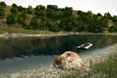 Ultimate Fishing Simulator