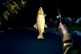 Ultimate Fishing Simulator