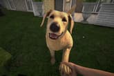 Pets Hotel