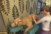 Pets Hotel