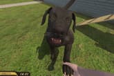 Pets Hotel