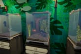Pets Hotel