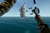 Ultimate Fishing Simulator - Florida DLC