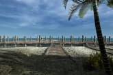 Ultimate Fishing Simulator - Florida DLC
